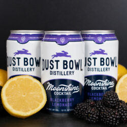 Blackberry Lemonade RTD cocktails with lemons and blackberries