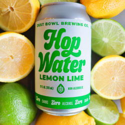 hop water can with sliced lemons & limes